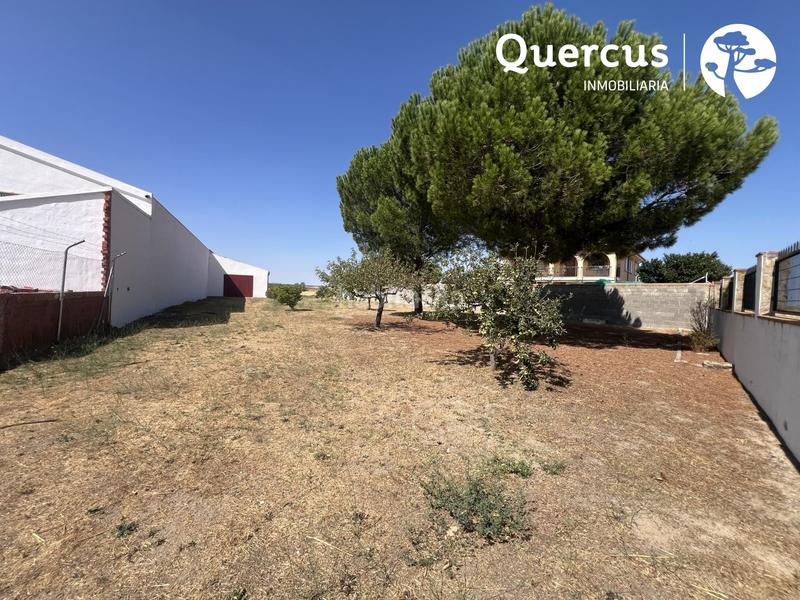 Foto 6195a412-5973-4cf7-92ae-aa1b6da4f52b. Pis a Marazoleja