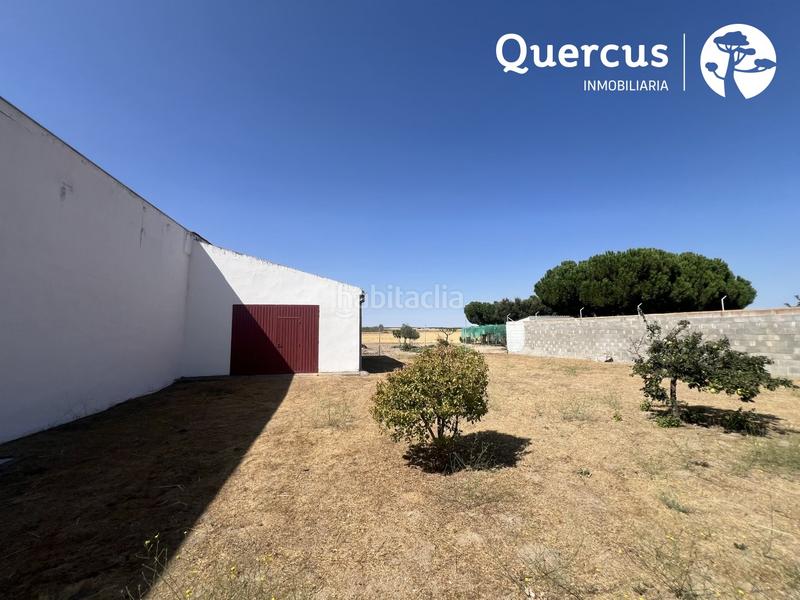 Foto 639bf0a3-fa4c-4ff8-bd6b-69124ecc6a06. Pis a Marazoleja