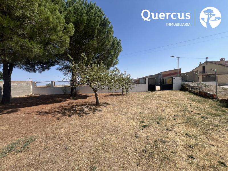 Foto ed017d36-104e-4fb0-a618-b928610ebf90. Pis a Marazoleja