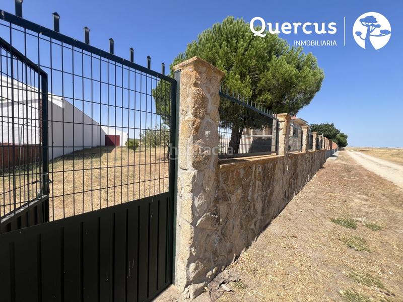 Foto fab087e5-21a8-4b6f-b7d6-7cf5b2162a32. Pis a Marazoleja