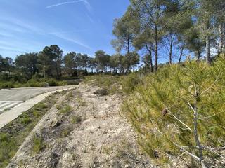 Terreny residencial a Catllar (El). Terreny urbà i cantoner situat al catllar, urbanització de mas m