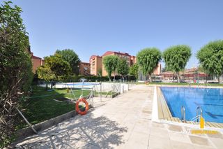 Alquiler Piso  Calle curas. Vivienda  semiamueblada con piscina comunitaria en torrepista