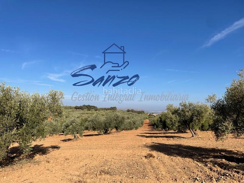 Foto 21b6c1f4-f2f8-440f-928d-2b83b6715714. Finca rústica a Centro Antequera