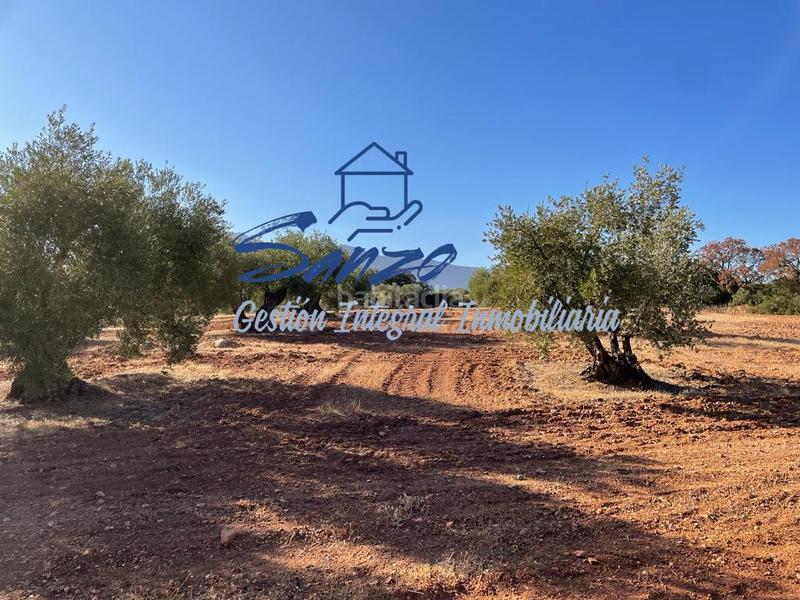 Foto 3a21868c-a21b-4acb-a8a6-c41ef4424160. Finca rústica a Centro Antequera