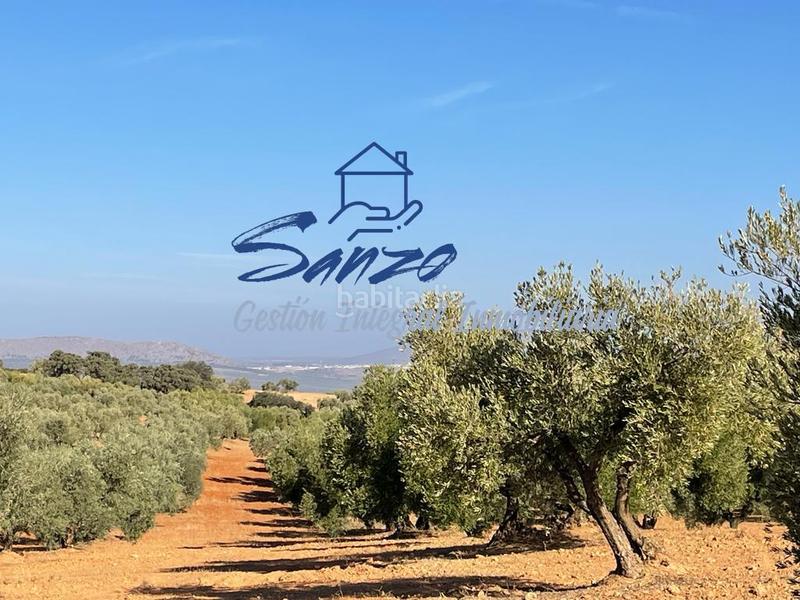 Foto 472621b6-284e-436f-9561-9d99ebba1f51. Finca rústica a Centro Antequera