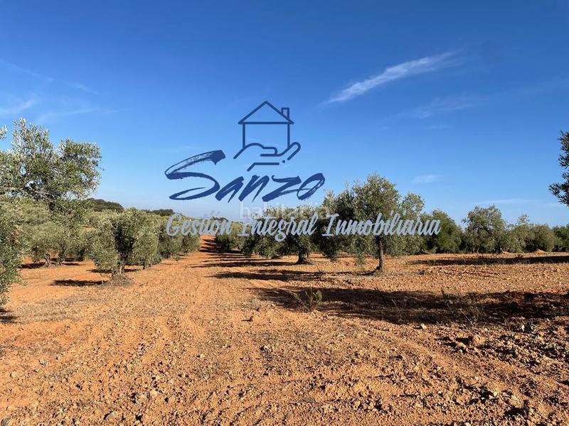 Foto a21ccfbc-200c-495c-a155-d96acb8b15d3. Finca rústica a Centro Antequera