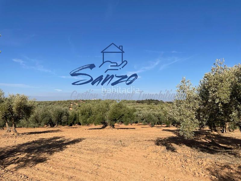 Foto b095fbd1-db73-437e-86ee-876e09ac42f8. Finca rústica a Centro Antequera