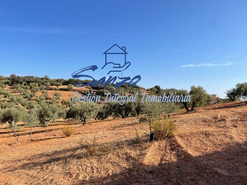 Foto b5c6626b-370b-4c5c-a6fd-a39c8540d7f2. Finca rústica a Centro Antequera