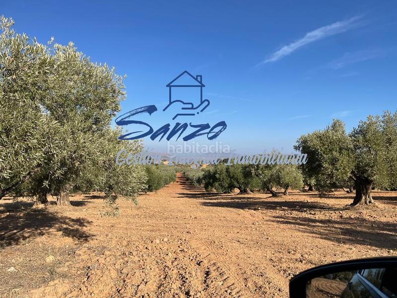Foto cd3f13d5-859b-441a-b05b-a373a63cf576. Finca rústica a Centro Antequera