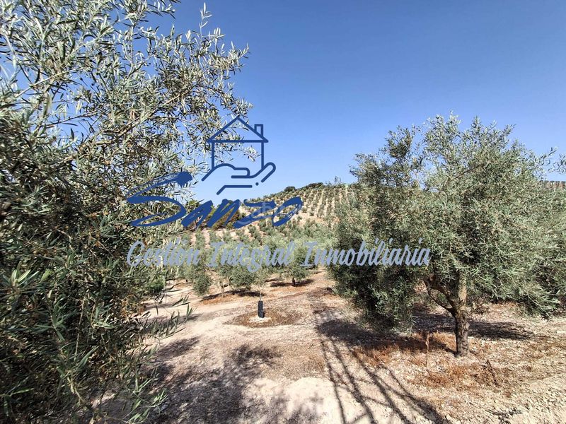 Foto aba0aff3-ba78-40f7-b122-e0e38ef4a271. Finca rústica a Archidona