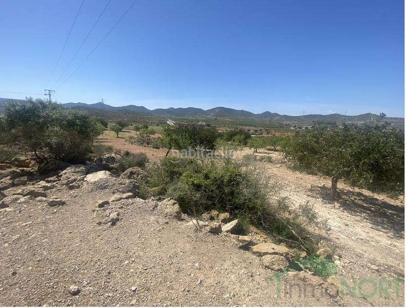 Foto 27d136e5-aa06-4590-bb87-ce194a8ca9e6. Casa a casa con 5.ooo metros de terreno a La Pinilla - Las Palas Fuente Álamo de Murcia