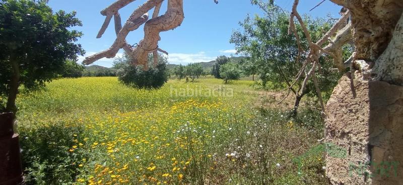Foto 5d9a9cce-561e-4fd6-9e1d-4fc881113cb3. Casa a casa con 5.ooo metros de terreno a La Pinilla - Las Palas Fuente Álamo de Murcia