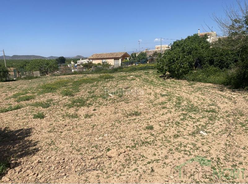 Foto 701f8d75-5d7e-46dd-a26b-edc56514b4c2. Casa a casa con 5.ooo metros de terreno a La Pinilla - Las Palas Fuente Álamo de Murcia