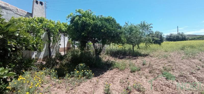 Foto 985f55d3-a8fb-41e5-b31a-8b89ae19a1c1. Casa a casa con 5.ooo metros de terreno a La Pinilla - Las Palas Fuente Álamo de Murcia