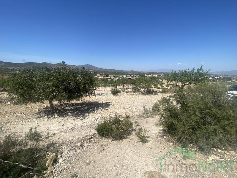 Foto f2077d4b-2667-4d89-9b56-dc8356a410ef. Casa a casa con 5.ooo metros de terreno a La Pinilla - Las Palas Fuente Álamo de Murcia