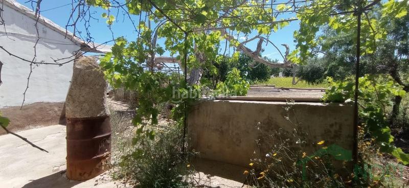 Foto f4812b80-222c-427e-a6d4-666027f5d16c. Casa a casa con 5.ooo metros de terreno a La Pinilla - Las Palas Fuente Álamo de Murcia