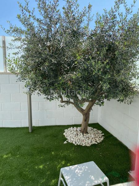 Foto 748a5881-66a1-44a6-9ec9-a3f40c4532da. Chalet con piscina in Norte Santa Pola