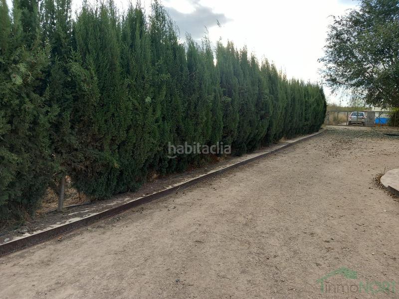 Foto 0635168b-f64e-4c16-9637-15ae4589cdb0. Haus in Centro Fuente Álamo de Murcia