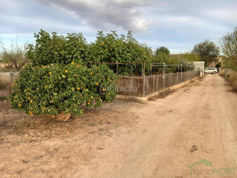 Foto 606f614c-0b4c-491d-a5ed-1a04f0a4e360. Haus in Centro Fuente Álamo de Murcia