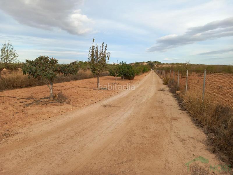 Foto bd46f065-2a57-493e-8f23-2c1c2e833008. Haus in Centro Fuente Álamo de Murcia