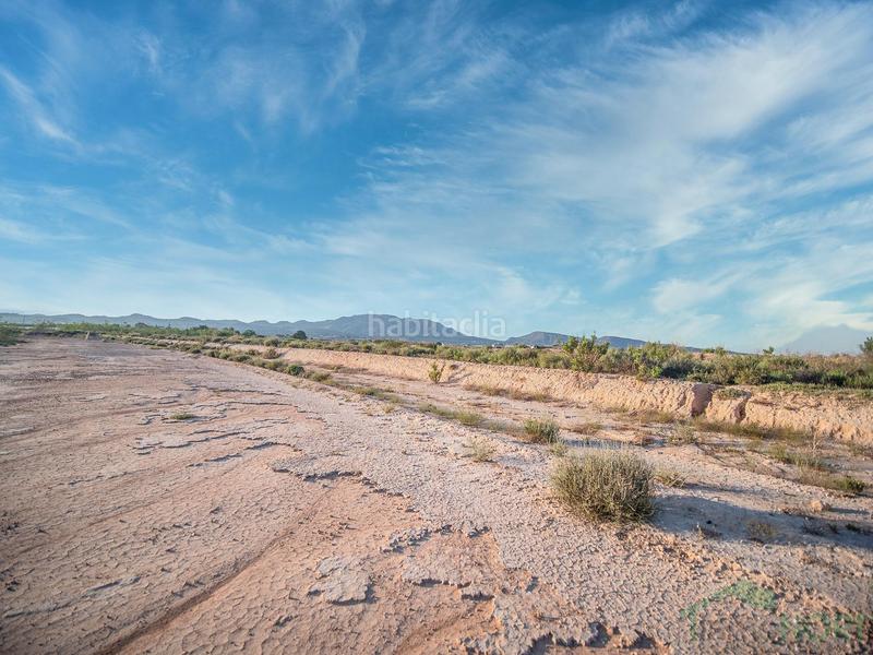 Foto 78b4354f-e7c8-43b6-9f89-999e9f5b7a02. Terreno residencial gea y truyolsterreno en Jerónimo y Avileses Murcia