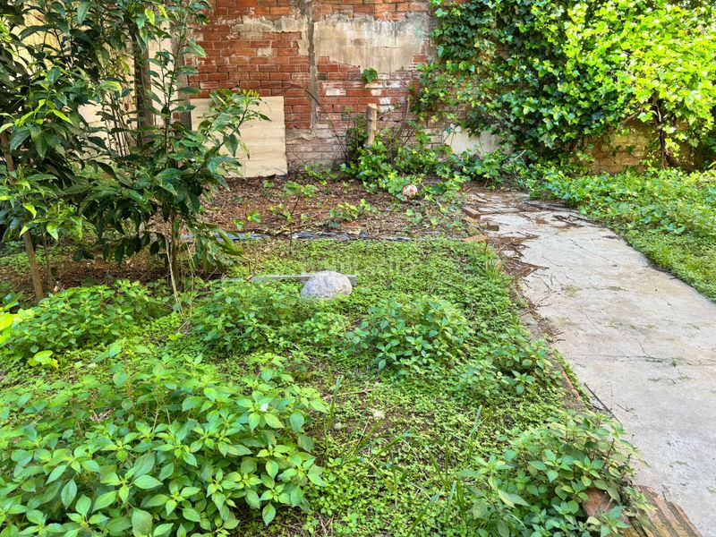 Foto ad8b57b8-77a9-4cc4-8ae9-a1303a3e07bc. Pis a Creu de Barberà Sabadell