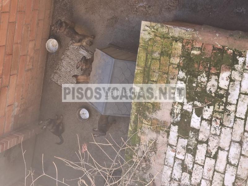 Foto 720be24d-49b7-4b52-93b0-a9fad27ae68a. House in Sant Feliu de Buixalleu