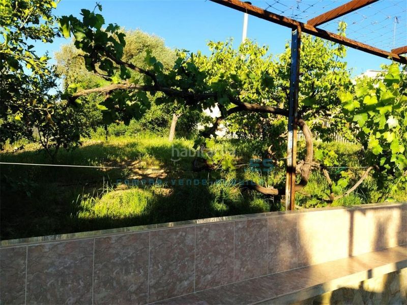 Foto 10c59218-8ac0-47a5-9c60-9f423749653f. Apartament amb piscina a Alfarb