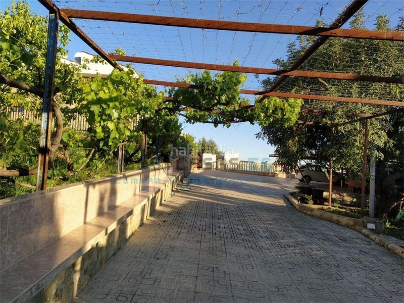 Foto 48057ed8-1164-4178-bc27-6649d8cb6228. Apartament amb piscina a Alfarb