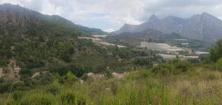 Terreny residencial a Bolulla