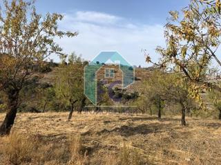 Finca rústica a Vélez - Rubio. Finca de 10 hectareas
