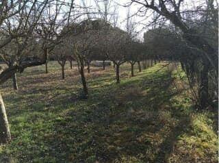 Terreny residencial a Vélez - Rubio. Finca  en venta en zona de los gazquez
