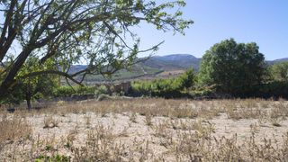 Finca rústica a PAGO ACEQUIA BAJA Polígono 11 Parcela 174 11