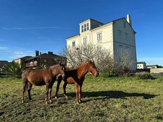 Masia  Calle folgueiron. Encanto histórico con vistas únicas en asturias