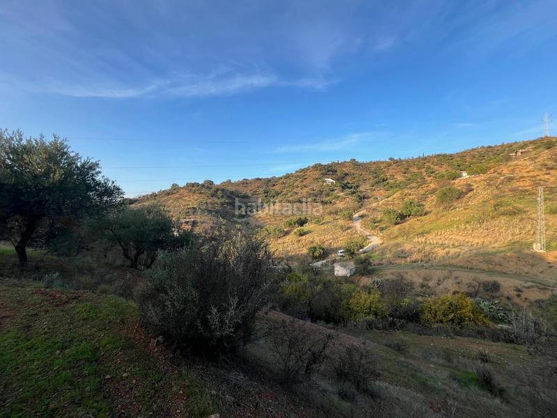 Foto 09f06f28-2530-43e5-9bcd-2222d4023b12. Finca rústica parcela en Monda
