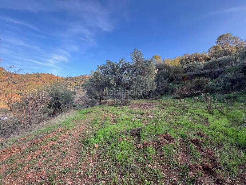 Foto 0d41fc46-a5e5-4f68-9a47-1defeb2c679e. Finca rústica parcela en Monda
