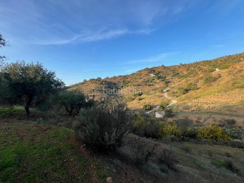 Foto 0fa77d4c-5353-4c36-bd8f-2c2141053762. Finca rústica parcela en Monda