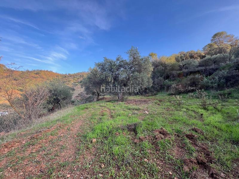 Foto 3fd0e6a3-7f79-4e55-9290-55e906d02aee. Finca rústica parcela en Monda