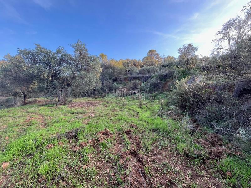 Foto 940015b0-08e2-492a-beb7-62925d7902e5. Finca rústica parcela en Monda