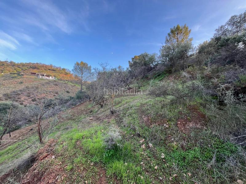 Foto a1a40696-2e73-4187-9115-c0e3486f6025. Finca rústica parcela en Monda