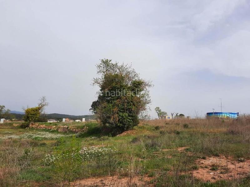 Foto 0b5e06a4-9f86-4e49-8b98-af50f660c637. Terreno residenziale in carrer el puig 7 in Calders