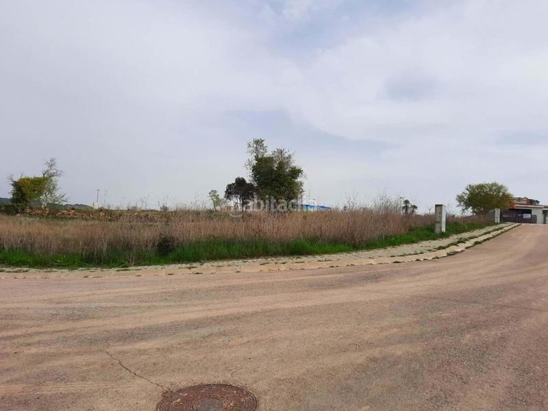 Foto 5d2957ab-c22d-489a-88ce-1198f1640296. Terreno residenziale in carrer el puig 7 in Calders