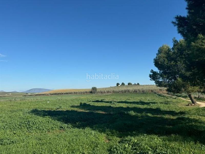 Foto 4e20fcc8-6dae-4f88-bd8e-b5a0cd623df0. Casale con riscaldamento parcheggio piscina in Bobadilla - Bobadilla Estación - La Joya Antequera