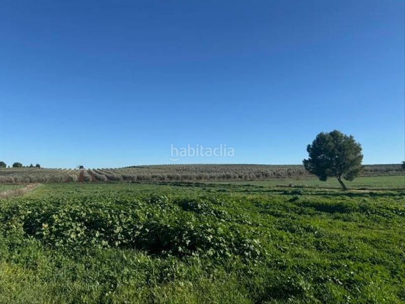 Foto 556f7e25-b25d-404b-942a-32e9758d3245. Casale con riscaldamento parcheggio piscina in Bobadilla - Bobadilla Estación - La Joya Antequera