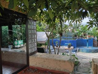 Xalet a Matanza de Acentejo (La). Tu oasis en tenerife villa con 5 dormitorios y gran jardín