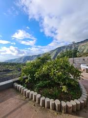 Masia a Centro. Finca rústica en guimar santa cruz de tenerife