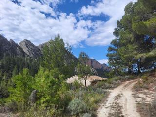 Finca rústica a Mas de arriba. Masía en finca de 30 ha en pleno bosque mediterráneo y a 20 kms