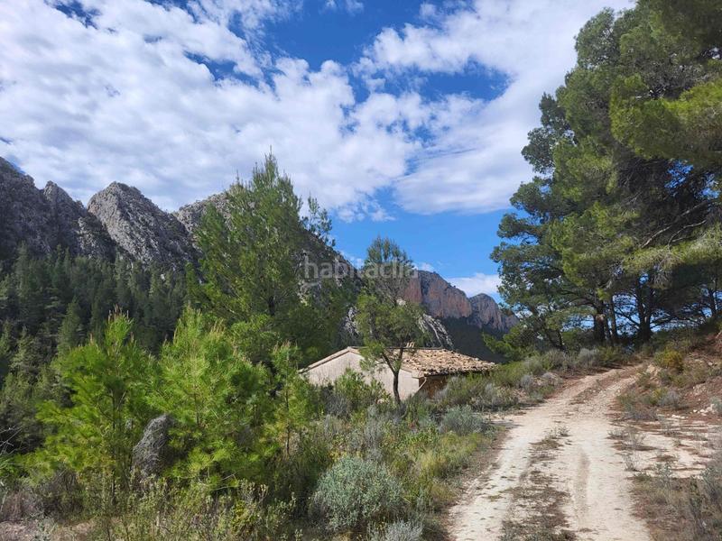 Finca rústica a Mas de arriba. Masía en finca de 30 ha en pleno bosque mediterráneo y a 20 kms