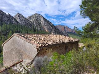 Rural plot in Mas de arriba. Masía en finca de 30 ha en pleno bosque mediterráneo y a 20 kms
