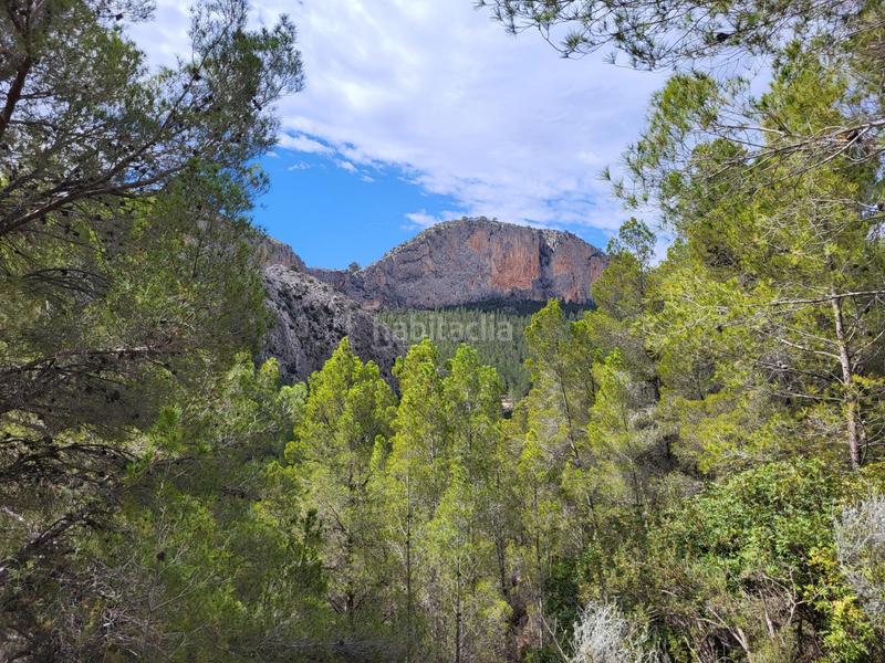 Foto 160f36e2-8d01-427d-b443-c572e0415695. Propriété dans mas de arriba dans Benimantell